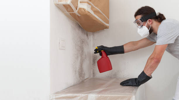 Professional Mold Remediation technician working in Gowen, MI