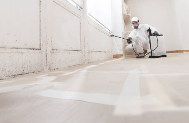 24/7 Emergency Mold Remediation experts in Gowen, MI